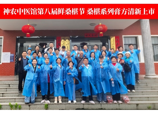 雨潤(rùn)桑林紫椹香，藥人采擷興未央——漢方神農(nóng)中醫(yī)館雨中采摘鮮桑椹紀(jì)實(shí)！